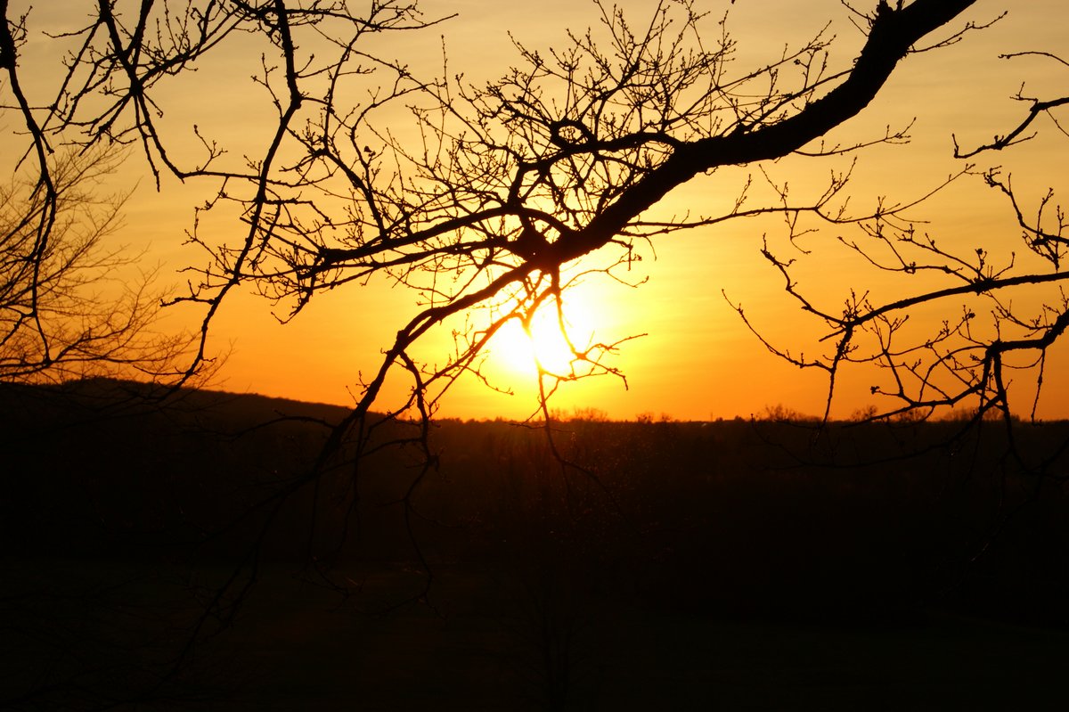 schwabenmaedel-fotografie sonnenuntergang bäume